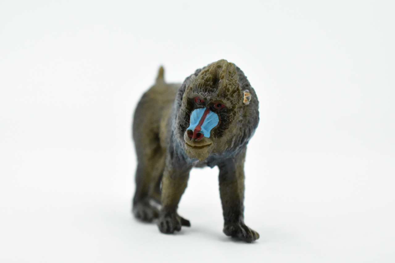 Mandrill, Baboons, Old World Monkeys, Rubber Animal, Realistic Toy Figure, Model, Replica, Kids, Hand Painted, Educational, Gift,      2 1/2"    CH416 BB108