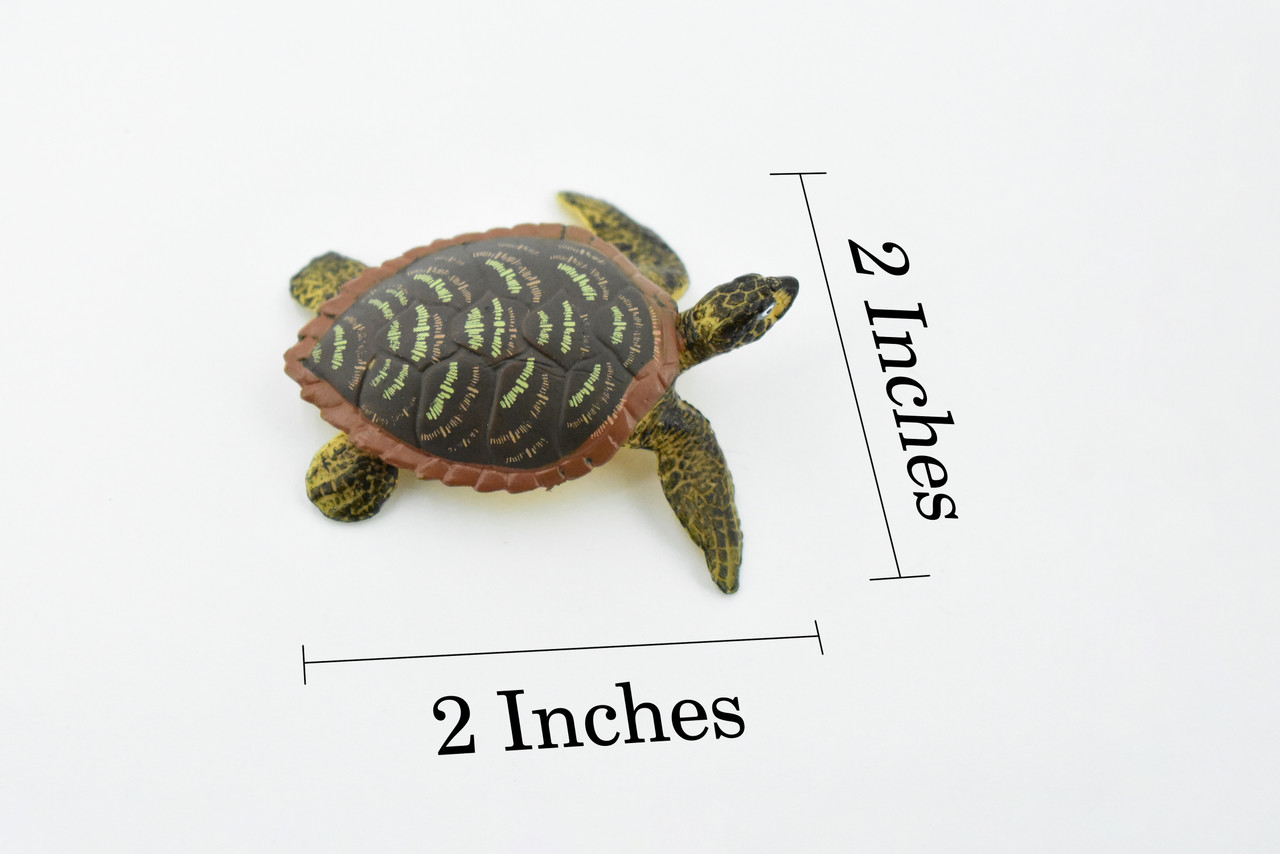 Hawksbill Sea Turtle, Rubber Reptile, Hand Painted, Museum Quality, Educational, Realistic Toy Figure, Diorama Model, Kids,  2 1/2 Inches. 