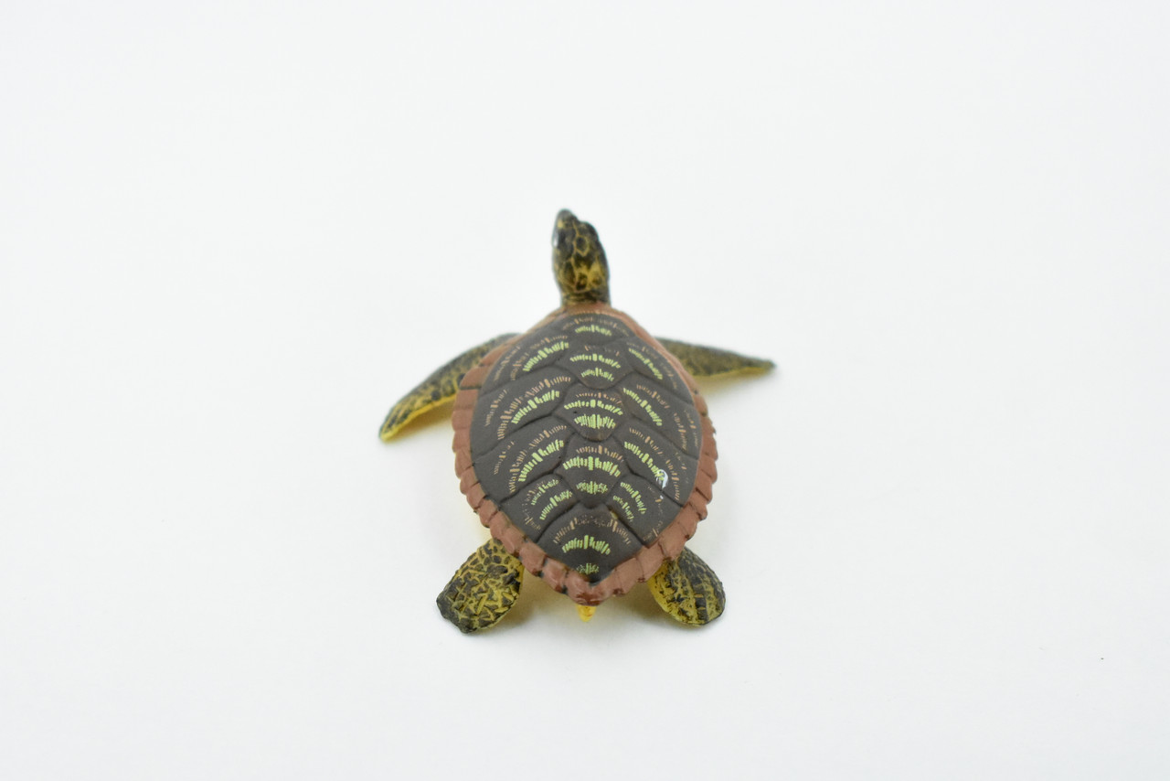 Turtle, Hawksbill Sea Turtle, Rubber Reptile, Realistic Toy Figure, Model, Replica, Kids, Hand Painted, Educational, Gift,        2 1/2"      CH417 BB108