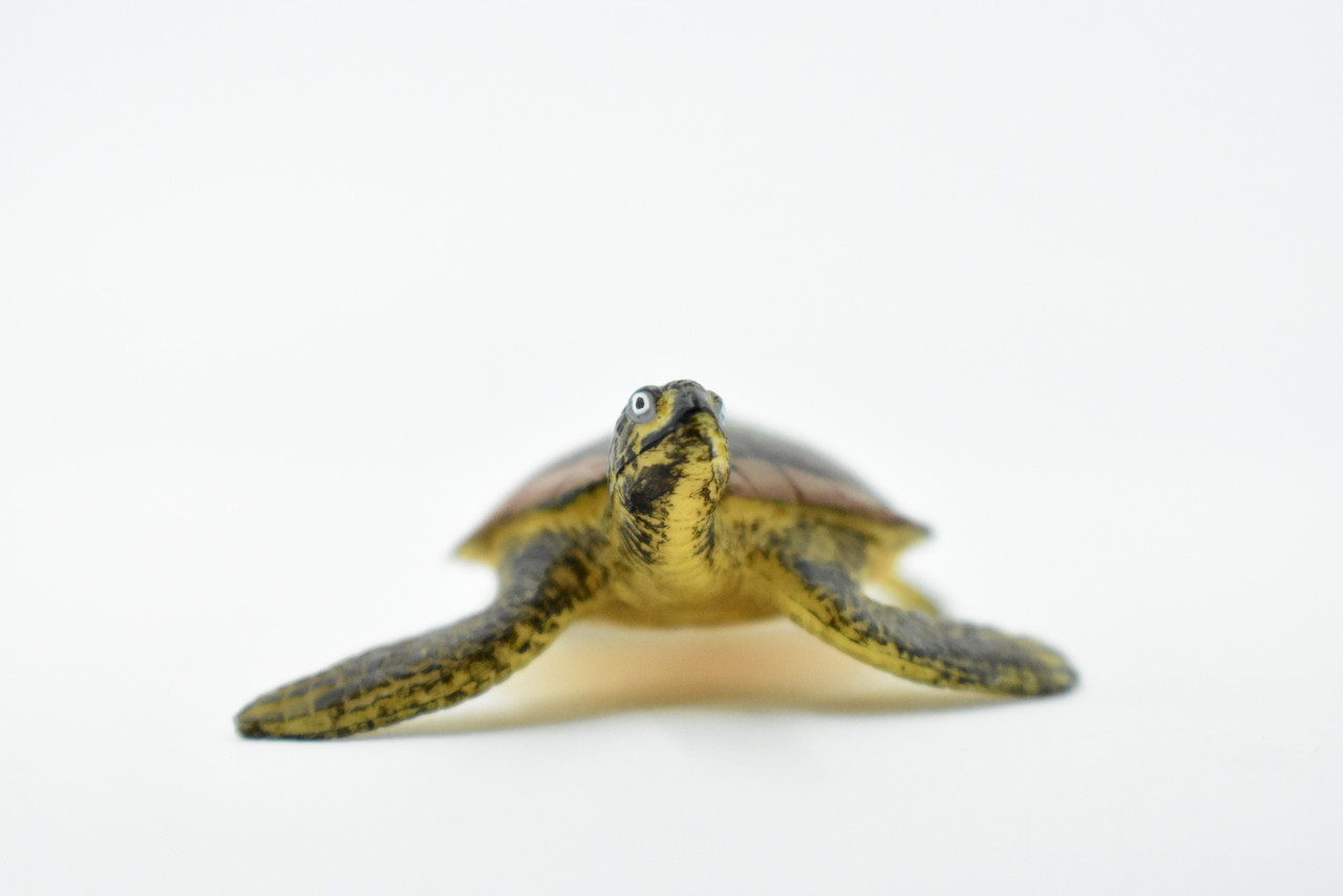 Turtle, Hawksbill Sea Turtle, Rubber Reptile, Realistic Toy Figure, Model, Replica, Kids, Hand Painted, Educational, Gift,        2 1/2"      CH417 BB108