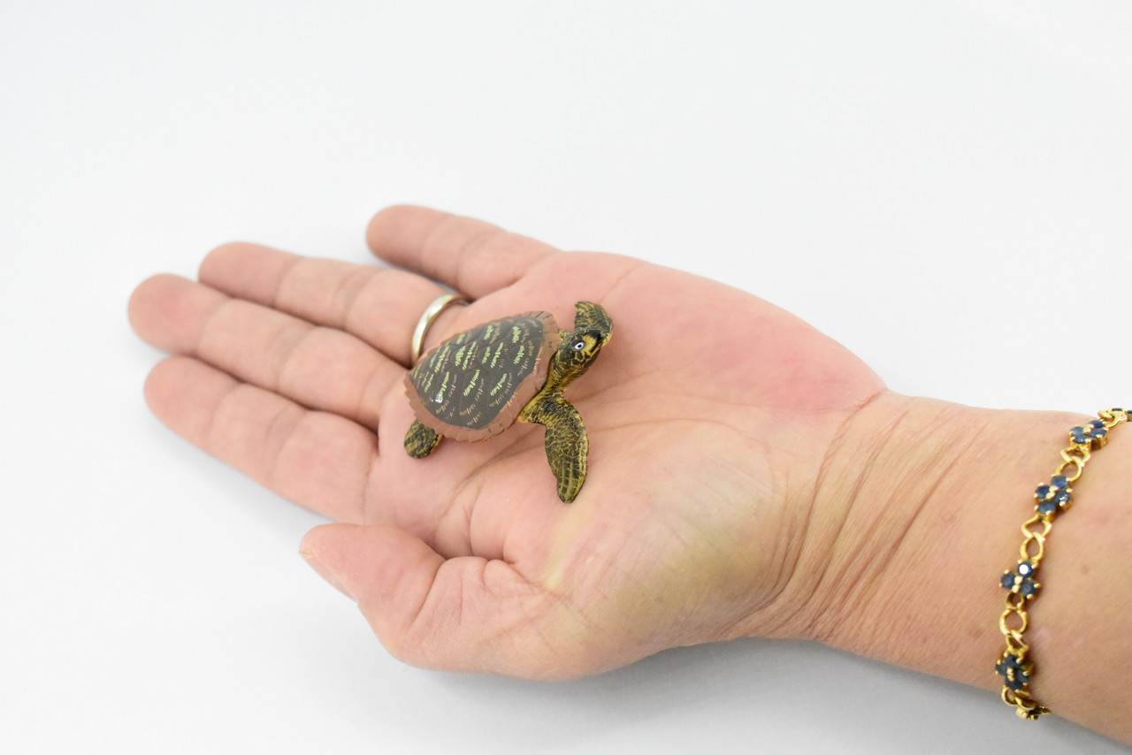 Hawksbill Sea Turtle, Rubber Reptile, Hand Painted, Museum Quality, Educational, Realistic Toy Figure, Diorama Model, Kids,  2 1/2 Inches. 