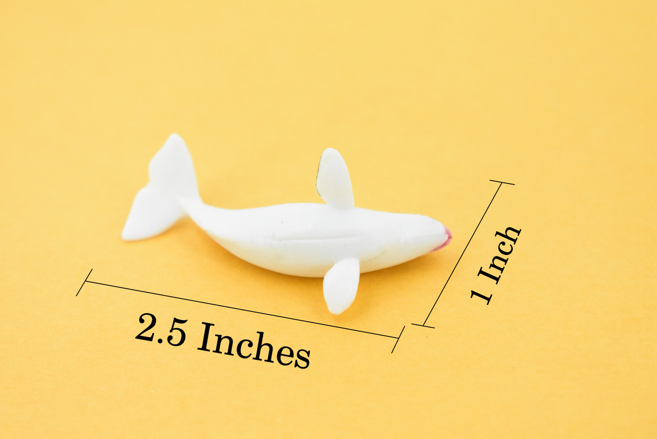 Beluga Whale, Rubber Animal, Realistic Toy Figure, Model, Replica, Kids, Hand Painted, Educational, Gift,       2 1/2"       CH418 BB108