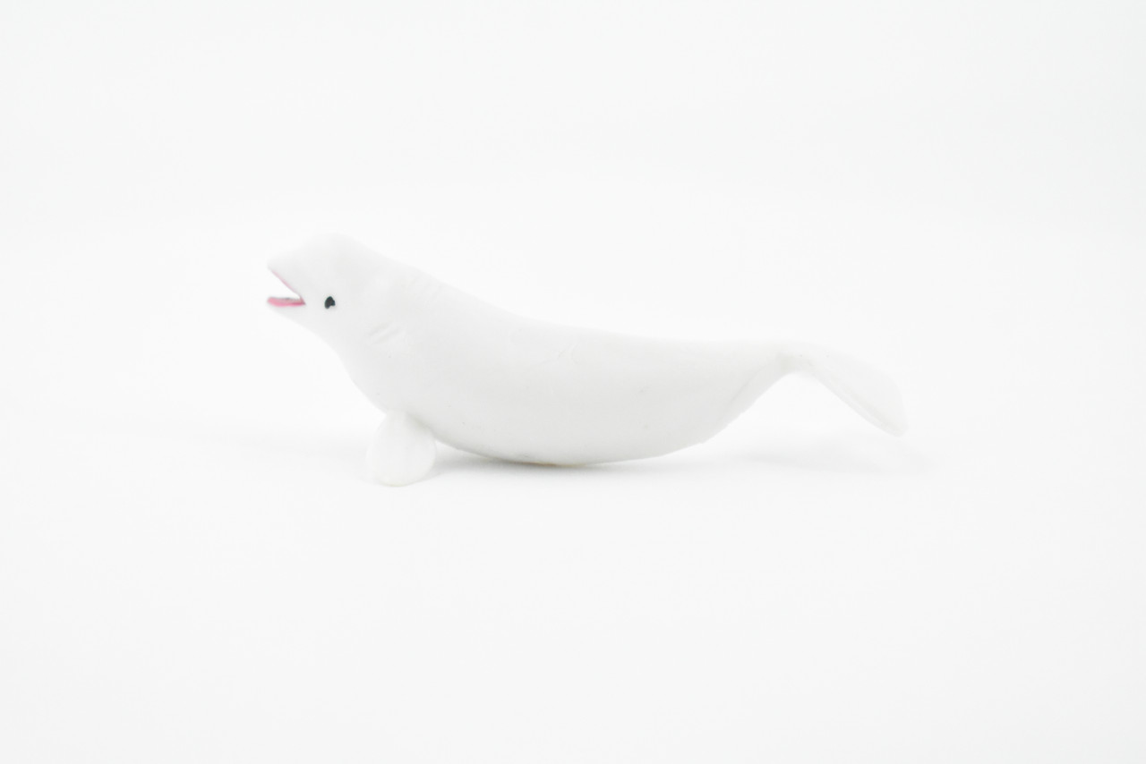 Beluga Whale, Rubber Animal, Realistic Toy Figure, Model, Replica, Kids, Hand Painted, Educational, Gift,       2 1/2"       CH418 BB108