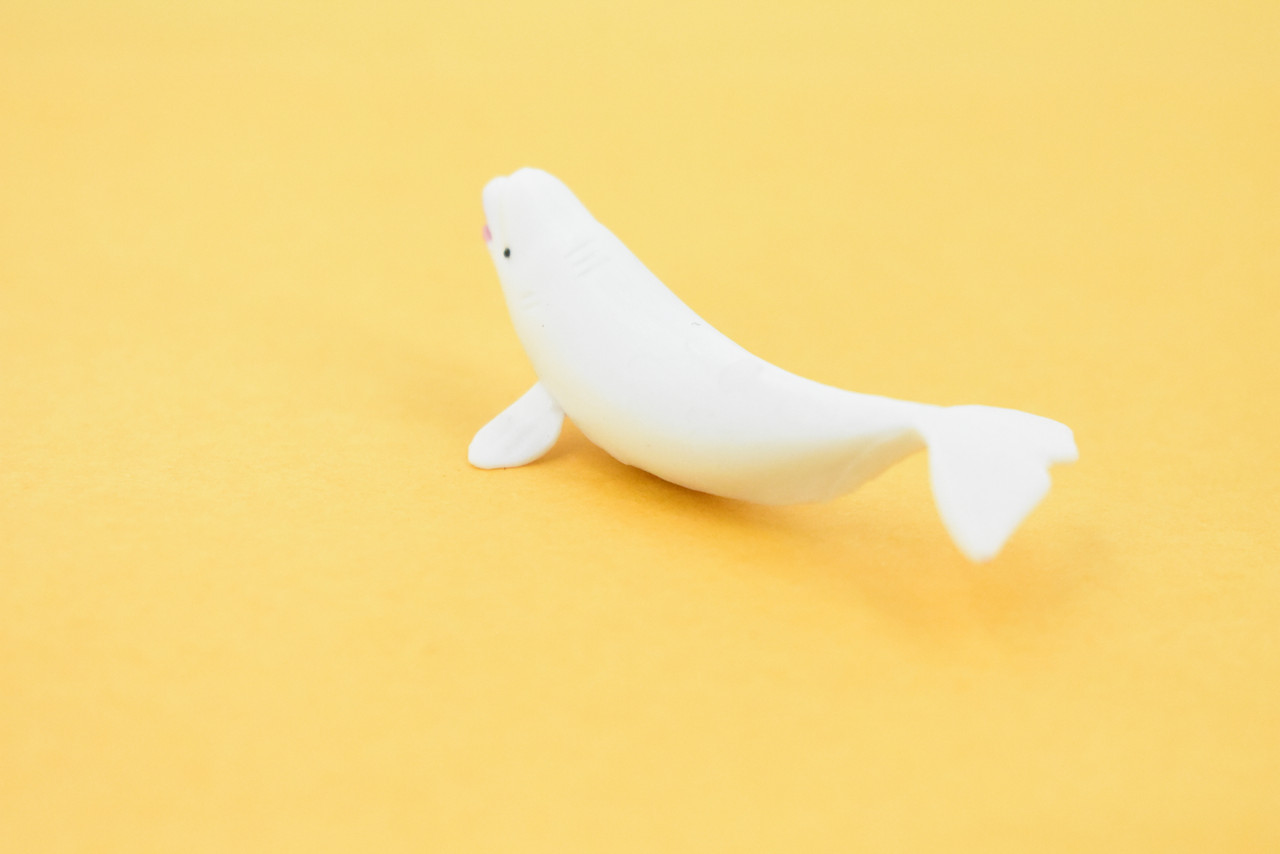 Beluga Whale, Rubber Animal, Realistic Toy Figure, Model, Replica, Kids, Hand Painted, Educational, Gift,       2 1/2"       CH418 BB108