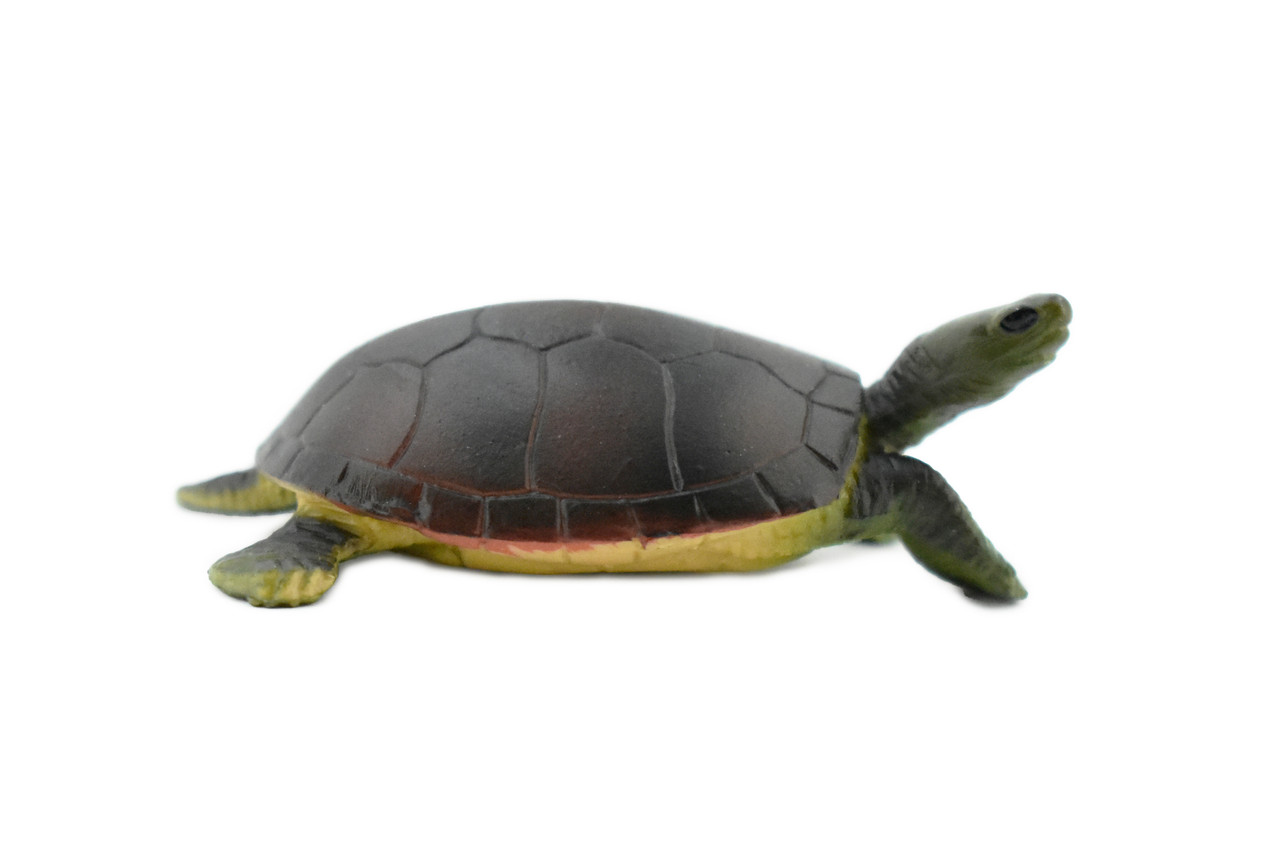 Turtle, Yellow Pond Turtle, Rubber Reptile, Realistic Toy Figure, Model, Replica, Kids, Hand Painted, Educational, Gift,         2 1/2"       CH421 BB108