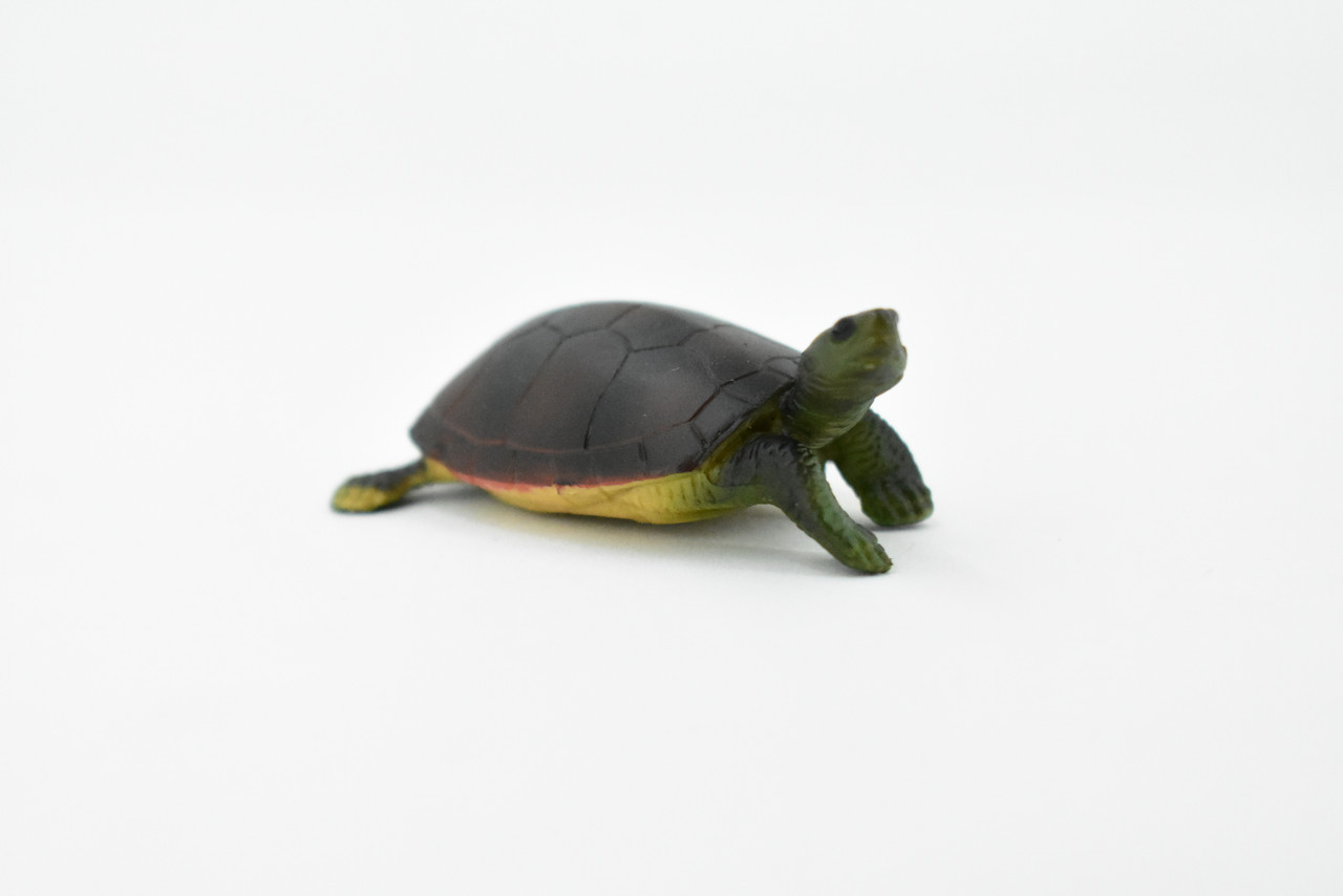 Turtle, Yellow Pond Turtle, Rubber Reptile, Realistic Toy Figure, Model, Replica, Kids, Hand Painted, Educational, Gift,         2 1/2"       CH421 BB108