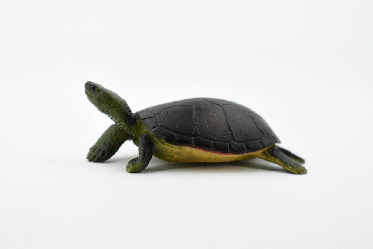 Turtle, Yellow Pond Turtle, Rubber Reptile, Realistic Toy Figure, Model, Replica, Kids, Hand Painted, Educational, Gift,         2 1/2"       CH421 BB108