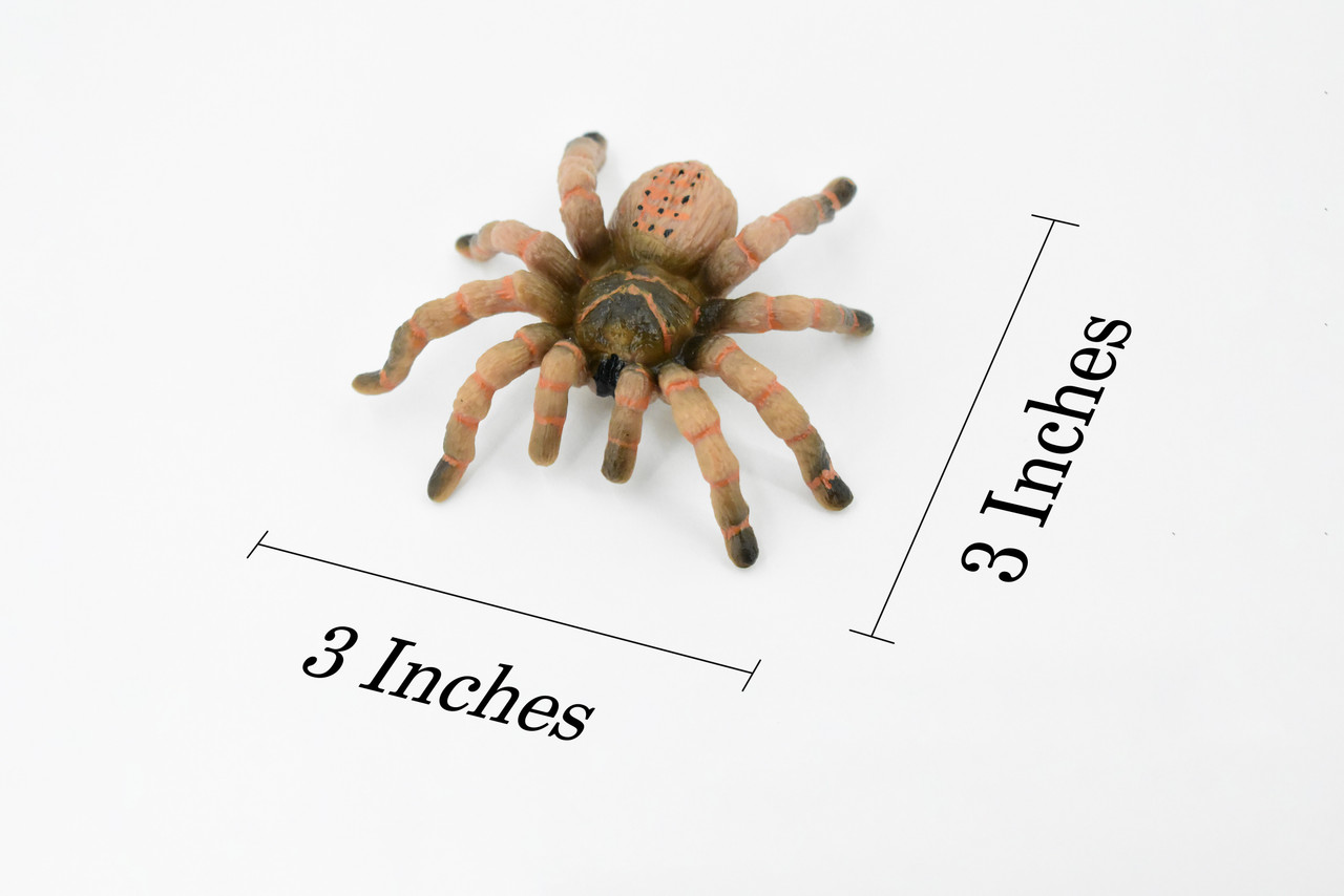 Wolf Spider, Rubber Insect, High Quality, Hand Painted, Educational, Realistic Toy Figure, Diorama Model, Replica, Kids, 3 Inches.  