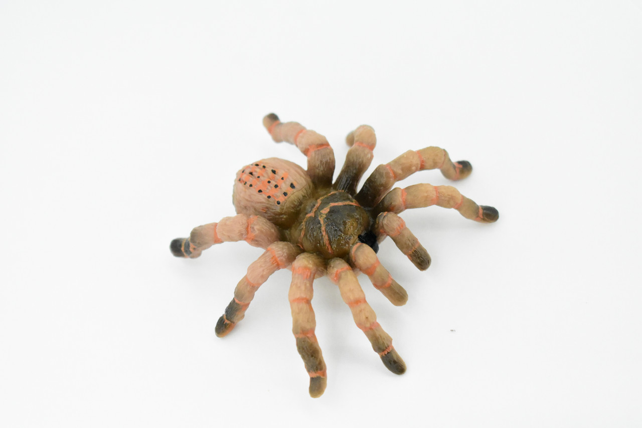 Spider, Wolf Spider, Rubber Insect, Hand Painted, Realistic Toy Figure, Model, Replica, Kids, Educational, Gift,      3"       CH422 BB108