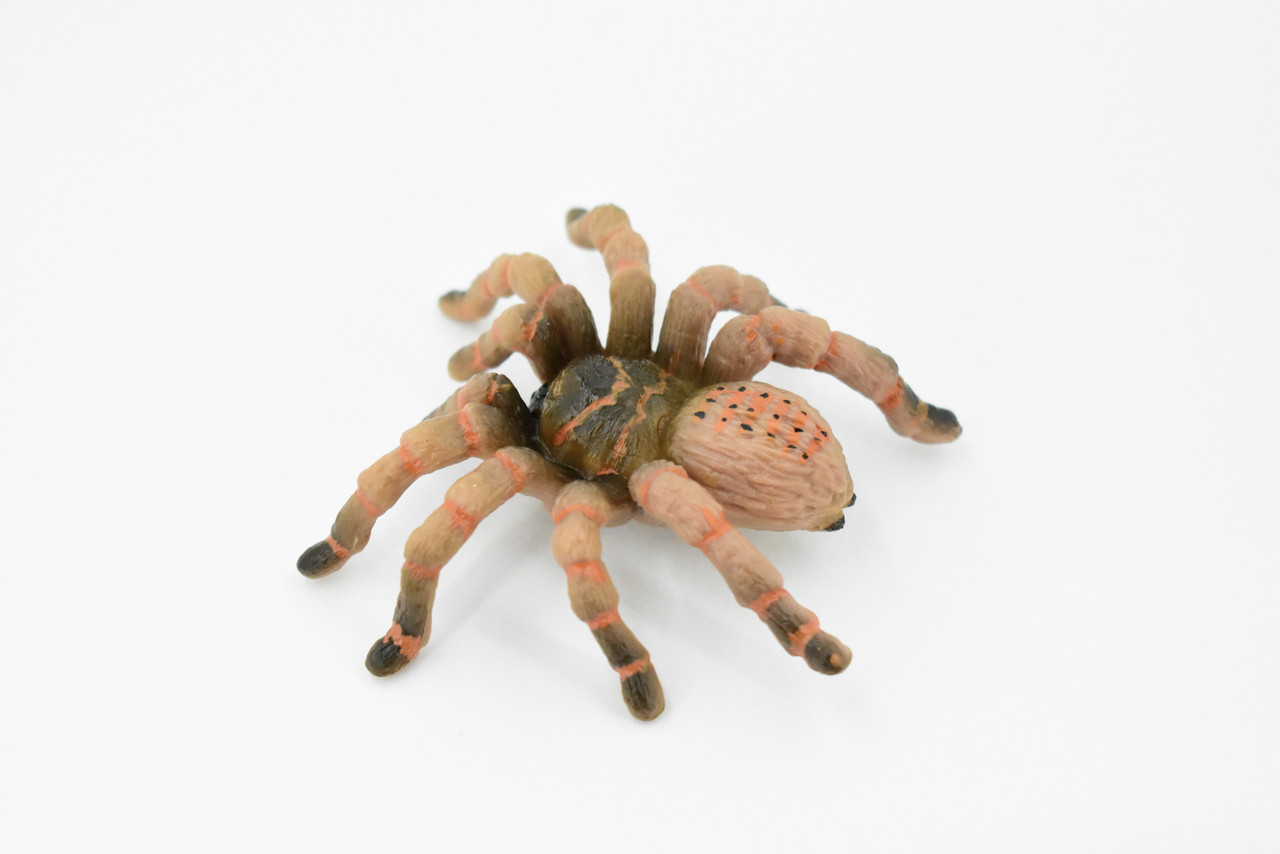 Spider, Wolf Spider, Rubber Insect, Hand Painted, Realistic Toy Figure, Model, Replica, Kids, Educational, Gift,      3"       CH422 BB108