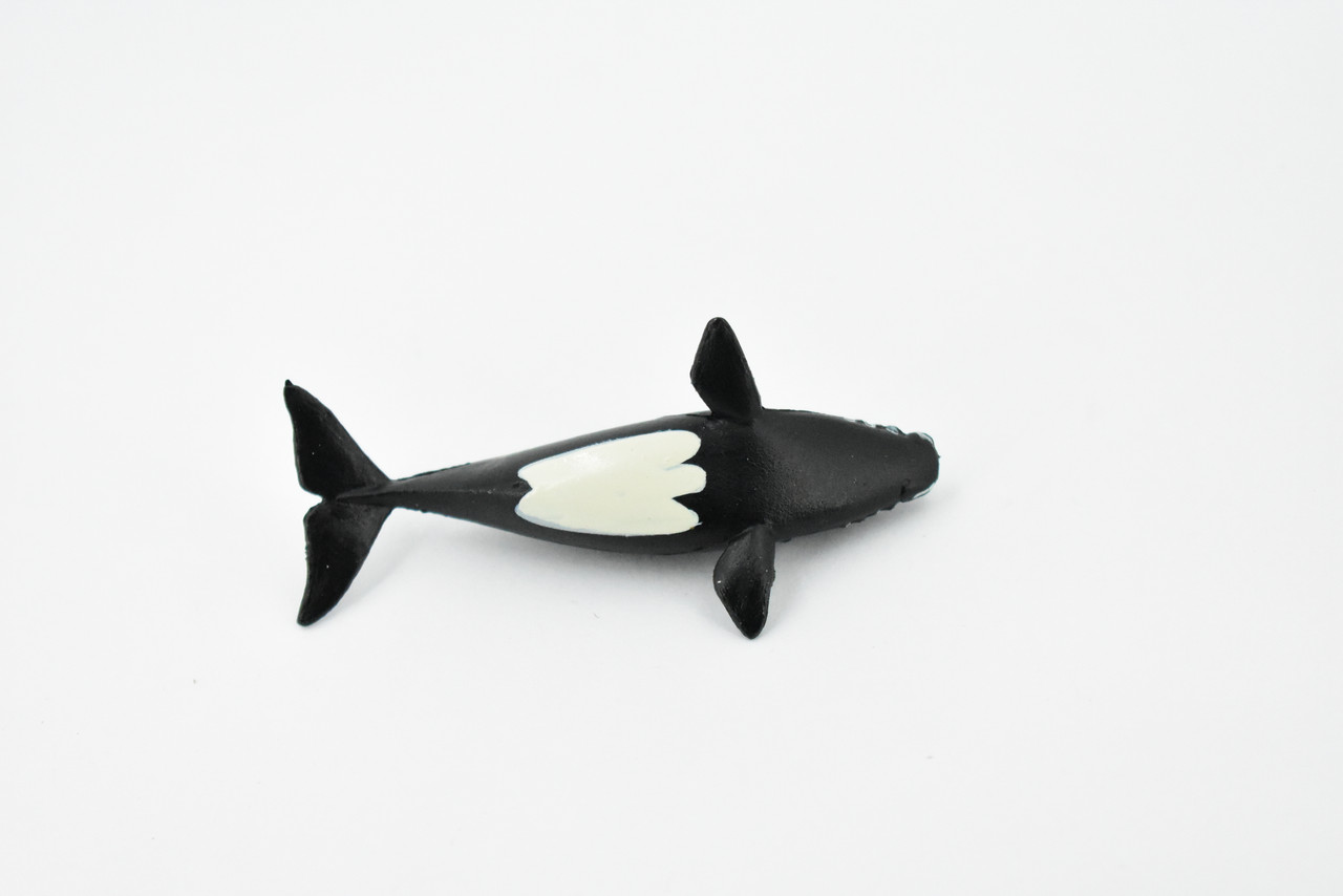 Right Whale, Marine Mammal, Rubber Animal, Realistic Toy Figure, Model, Replica, Kids, Hand Painted, Educational, Gift,        3"       CH426 BB109