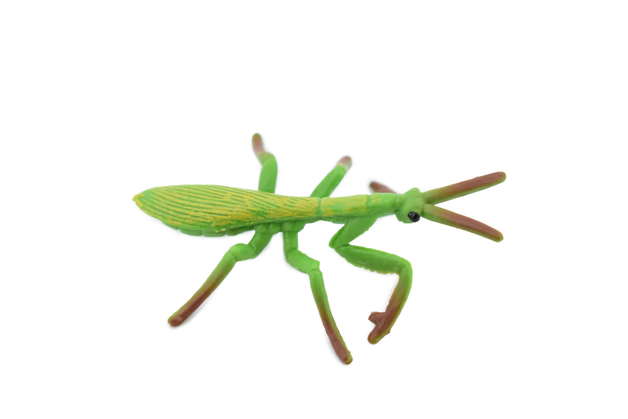 Praying Mantis, Rubber Insect, Hand Painted, Realistic Toy Figure, Model, Replica, Kids, Educational, Gift,       2 1/2"       CH427 BB109