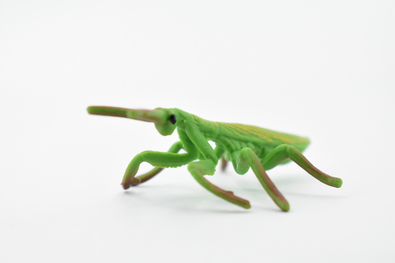 Praying Mantis, Rubber Insect, High Quality, Hand Painted, Educational, Realistic Toy Figure, Diorama Model, Replica, Kids,  Gift,       2 1/2 Inches. 