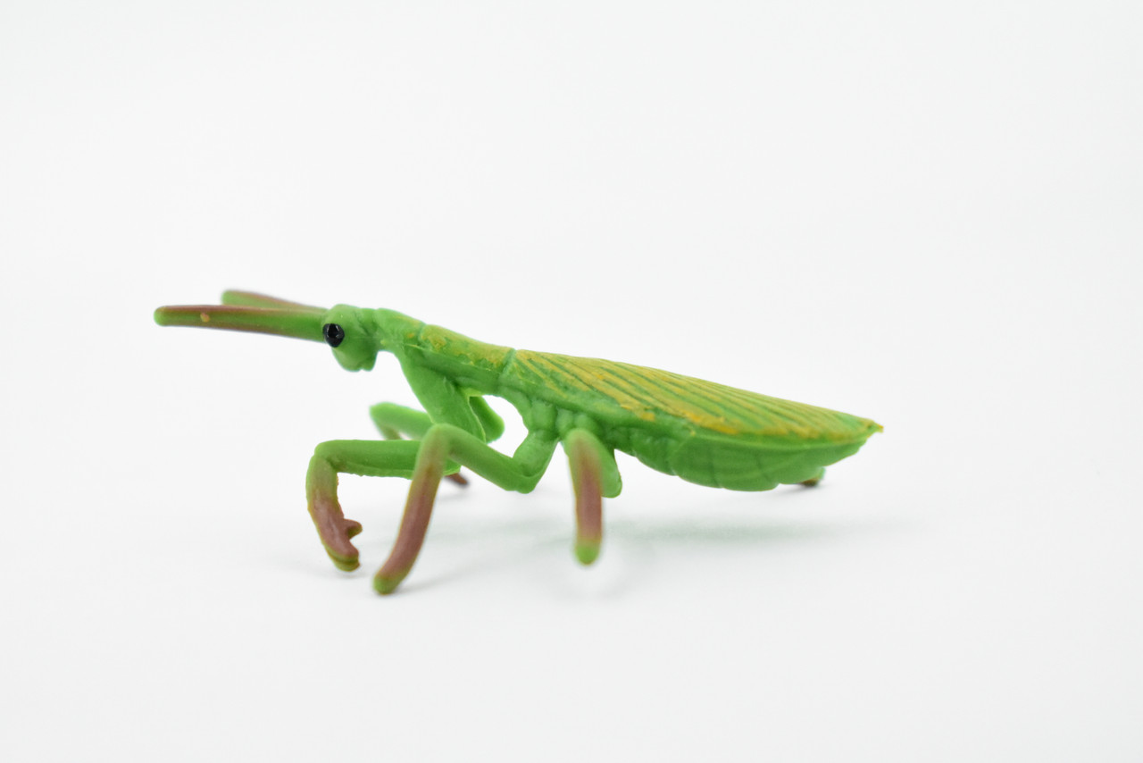 Praying Mantis, Rubber Insect, High Quality, Hand Painted, Educational, Realistic Toy Figure, Diorama Model, Replica, Kids,  Gift,       2 1/2 Inches. 