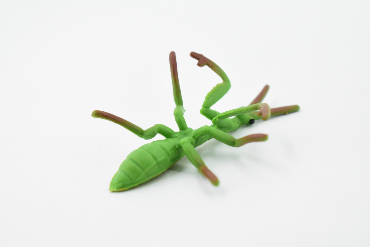 Praying Mantis, Rubber Insect, High Quality, Hand Painted, Educational, Realistic Toy Figure, Diorama Model, Replica, Kids,  Gift,       2 1/2 Inches. 