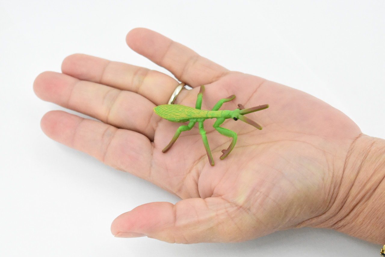 Praying Mantis, Rubber Insect, High Quality, Hand Painted, Educational, Realistic Toy Figure, Diorama Model, Replica, Kids,  Gift,       2 1/2 Inches. 