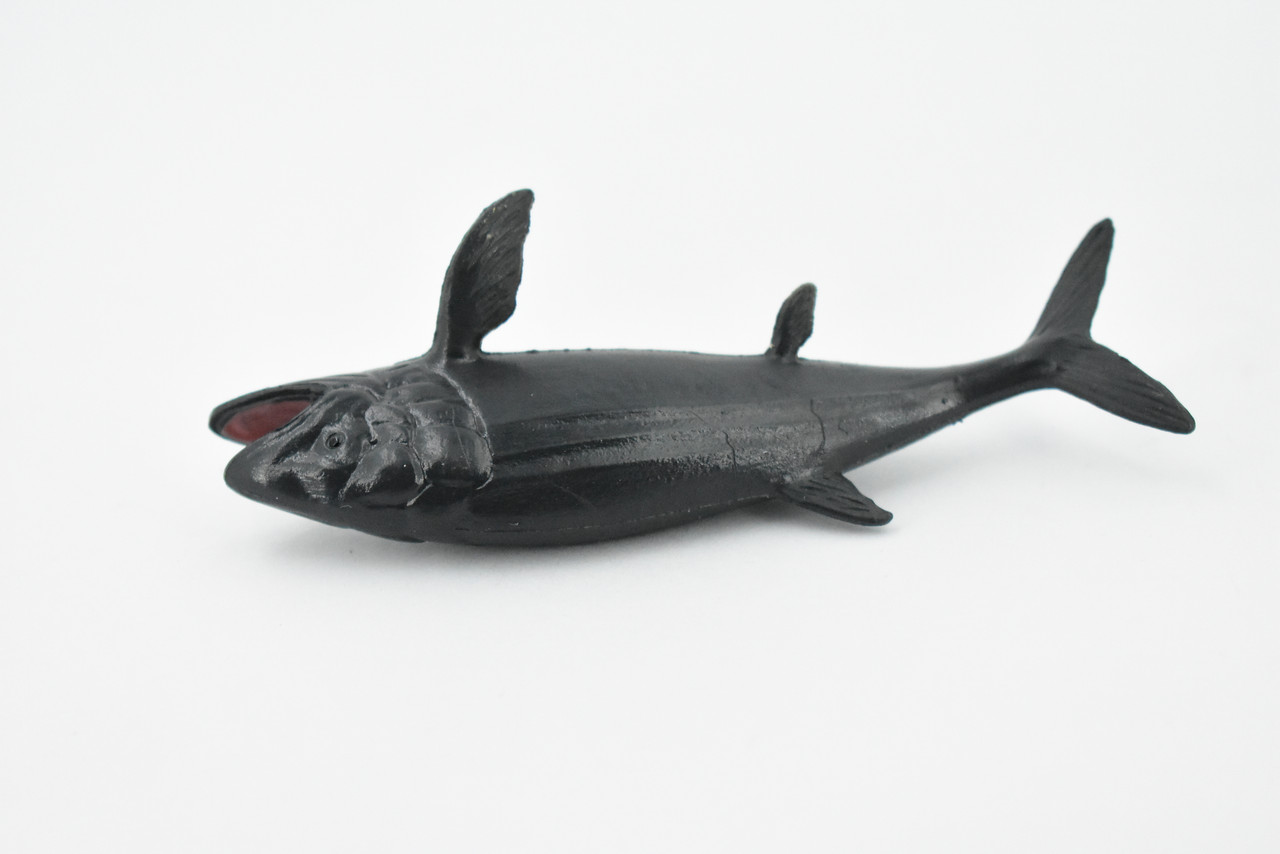 Leedsichthys, Extinct Jurassic Fish, Leeds' fish, Museum Quality, Rubber, Hand Painted, Realistic, Diorama Model, Kids, Educational,  4 Inches.  