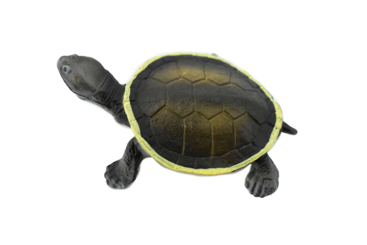 Argentine Side Necked Turtle, Rubber Reptile, Hand Painted, Museum Quality, Educational, Realistic Toy Figure, Diorama Model, Kids,  2 1/2 Inches. 