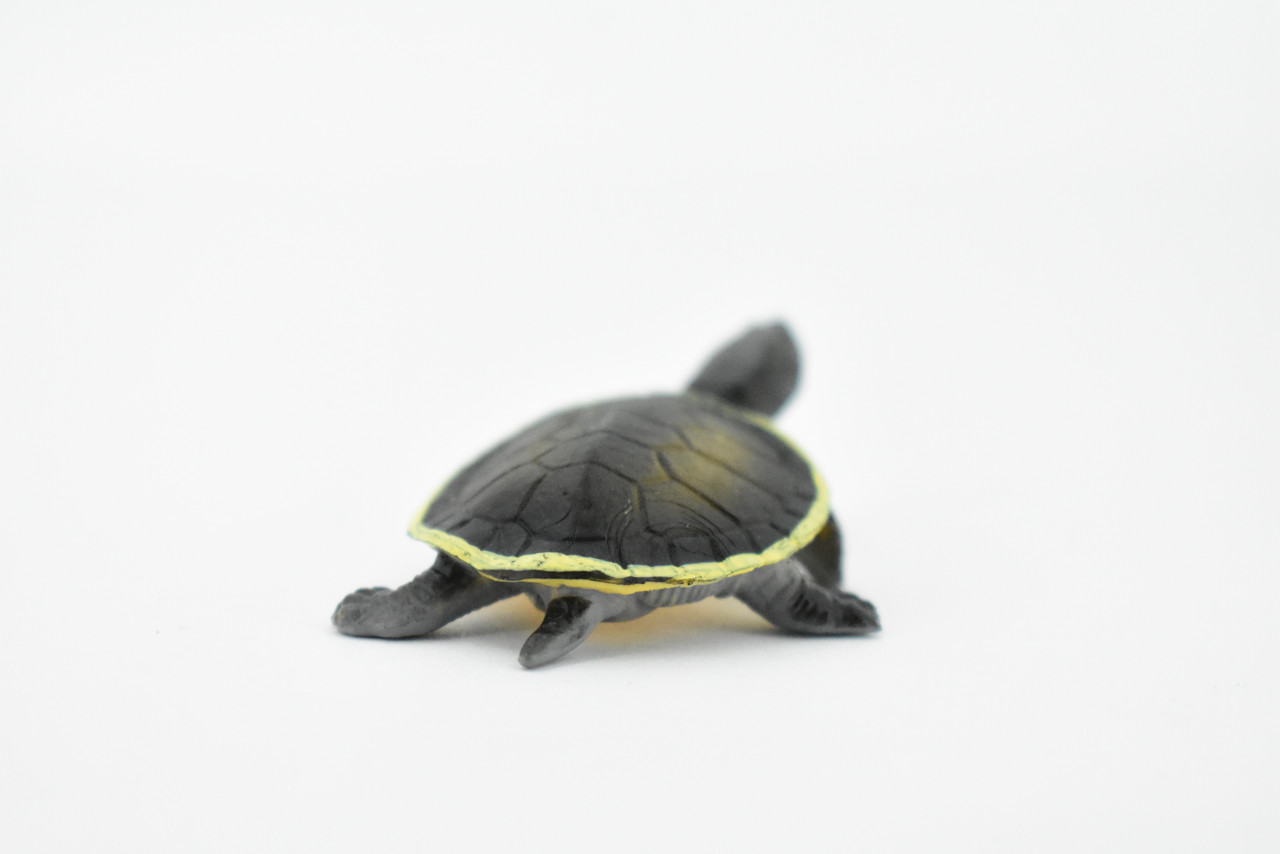 Argentine Side Necked Turtle, Rubber Reptile, Hand Painted, Museum Quality, Educational, Realistic Toy Figure, Diorama Model, Kids,  2 1/2 Inches. 
