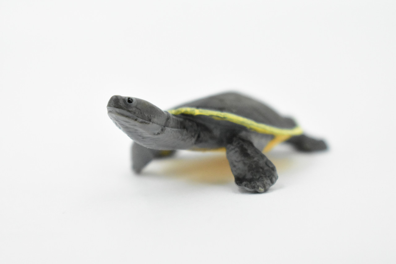 Argentine Side Necked Turtle, Rubber Reptile, Hand Painted, Museum Quality, Educational, Realistic Toy Figure, Diorama Model, Kids,  2 1/2 Inches. 