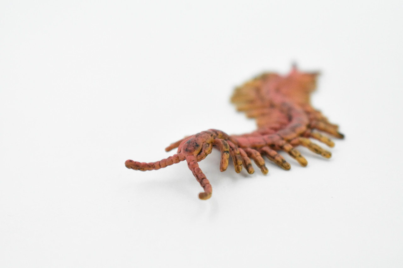 Centipede, Chilopoda, Rubber Insect, Hand Painted, Realistic Toy Figure, Model, Replica, Kids, Educational, Gift,        2 1/2"      CH433 BB109