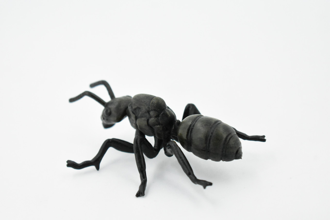Garden ant, Common Black Ant, Very Nice Design, Educational, Hand Painted, Realistic Rubber Insect, Toy Figure, Diorama Model, Kids, 3 1/2 Inches.