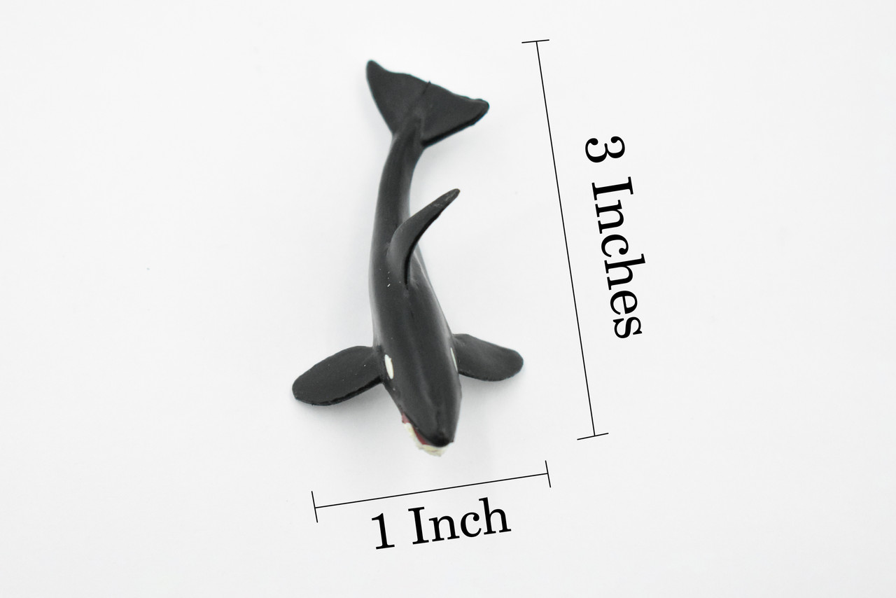 Orca, Killer Whale, Marine Mammal, Rubber Animal, Realistic Toy Figure, Model, Replica, Kids, Hand Painted, Educational, Gift,        3"       CH436 BB109