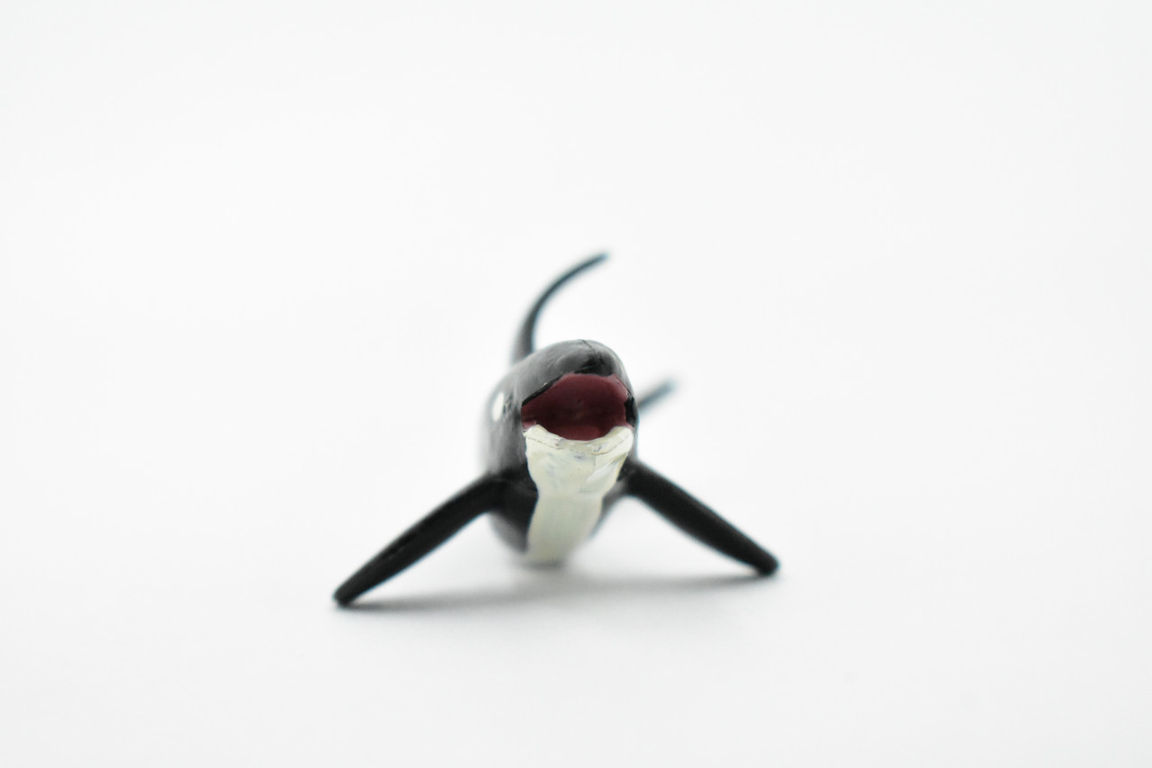 Orca, Killer Whale, Marine Mammal, Rubber Animal, Realistic Toy Figure, Model, Replica, Kids, Hand Painted, Educational, Gift,        3"       CH436 BB109
