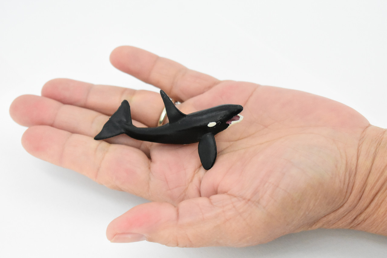 Orca, Killer Whale, Marine Mammal, Rubber Animal, Realistic Toy Figure, Model, Replica, Kids, Hand Painted, Educational, Gift,        3"       CH436 BB109