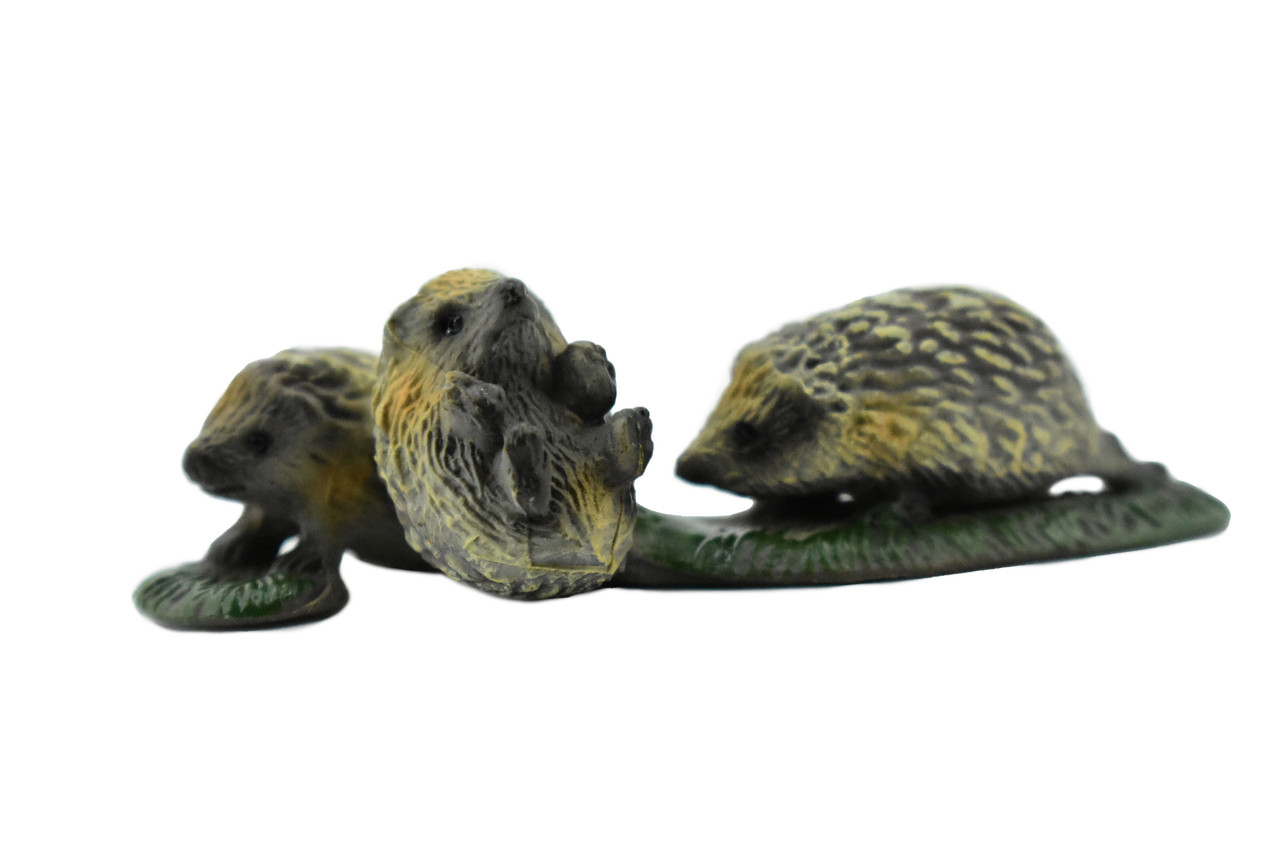 Hedgehog, Family of Three, Very Nice Rubber Animal, Hand Painted, Realistic Design, Educational, Diorama Model,  3 Inches. 