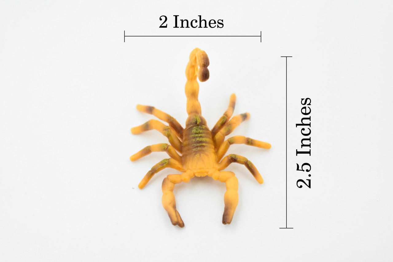 Scorpion, Brown, Arachnids, High Quality, Hand Painted, Educational, Realistic Toy Figure, Diorama Model, Replica, Kids,  2 1/2 Inches. 