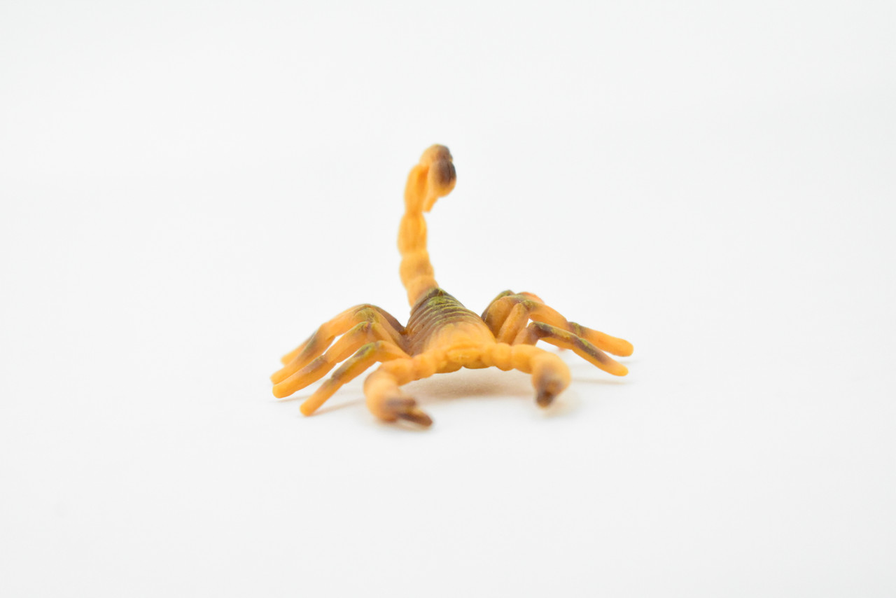 Scorpion, Brown, Arachnids, Very Realistic Rubber Inscect, Figure, Model, Educational, Hand Painted Figurines, Educational, Gift,       2 1/2"  CH441 BB109
