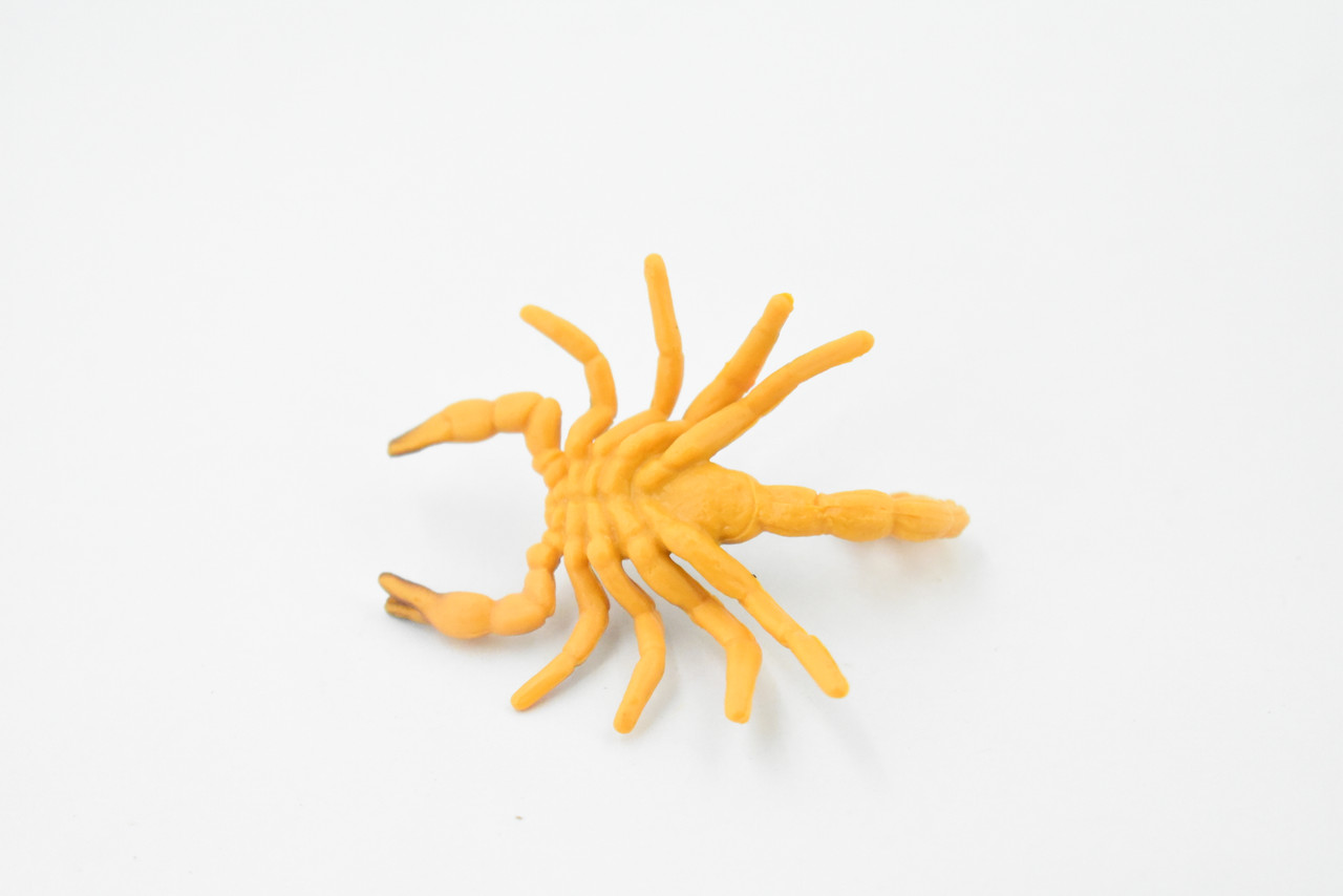 Scorpion, Brown, Arachnids, Very Realistic Rubber Inscect, Figure, Model, Educational, Hand Painted Figurines, Educational, Gift,       2 1/2"  CH441 BB109