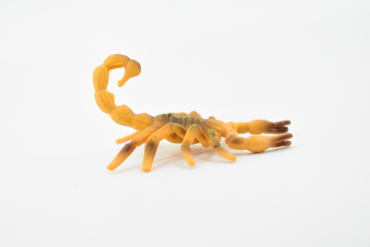 Scorpion, Brown, Arachnids, Very Realistic Rubber Inscect, Figure, Model, Educational, Hand Painted Figurines, Educational, Gift,       2 1/2"  CH441 BB109