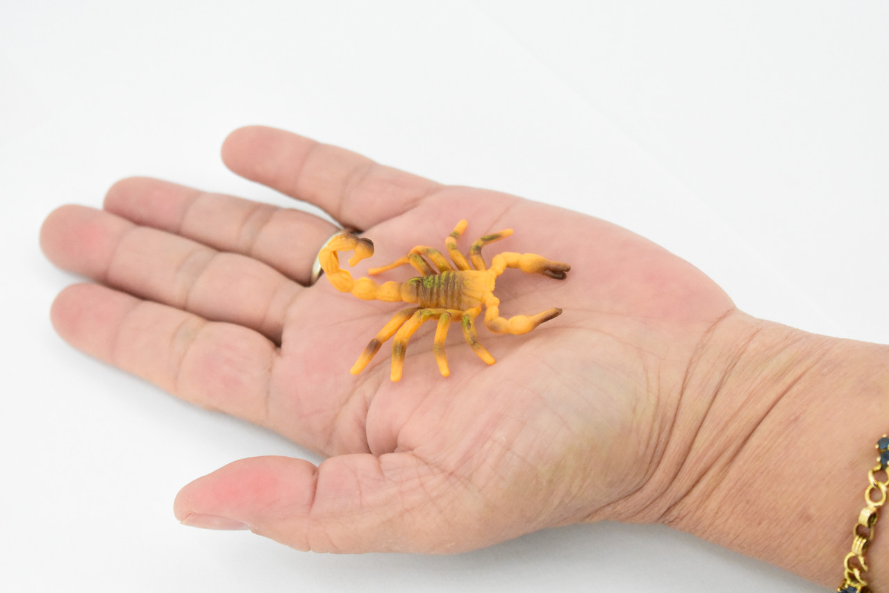 Scorpion, Brown, Arachnids, Very Realistic Rubber Inscect, Figure, Model, Educational, Hand Painted Figurines, Educational, Gift,       2 1/2"  CH441 BB109
