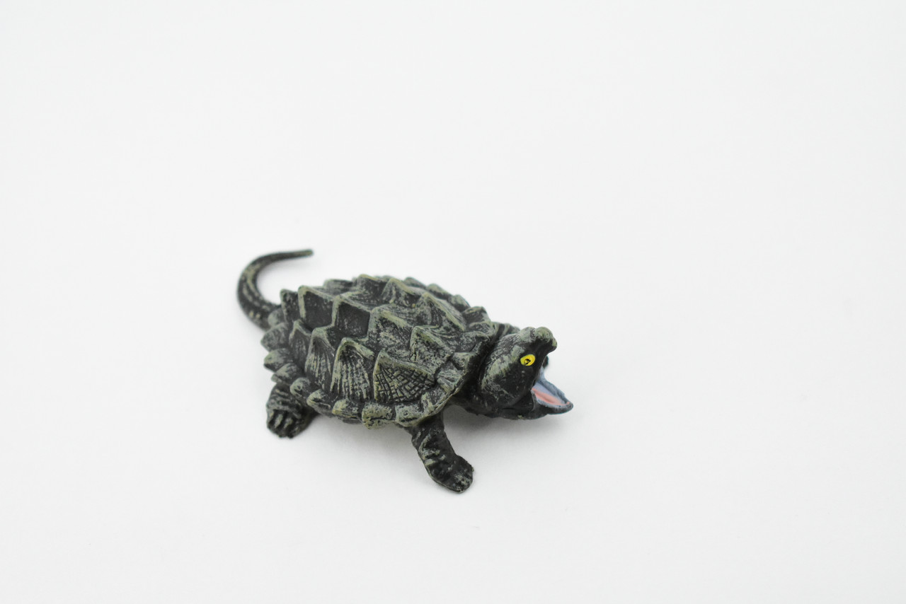 Turtle, Alligator Snapping Turtle, Reptile, Hand Painted, Realistic Toy Figure, Model, Replica, Kids, Educational, Gift,      2 1/2"     CH442 BB109