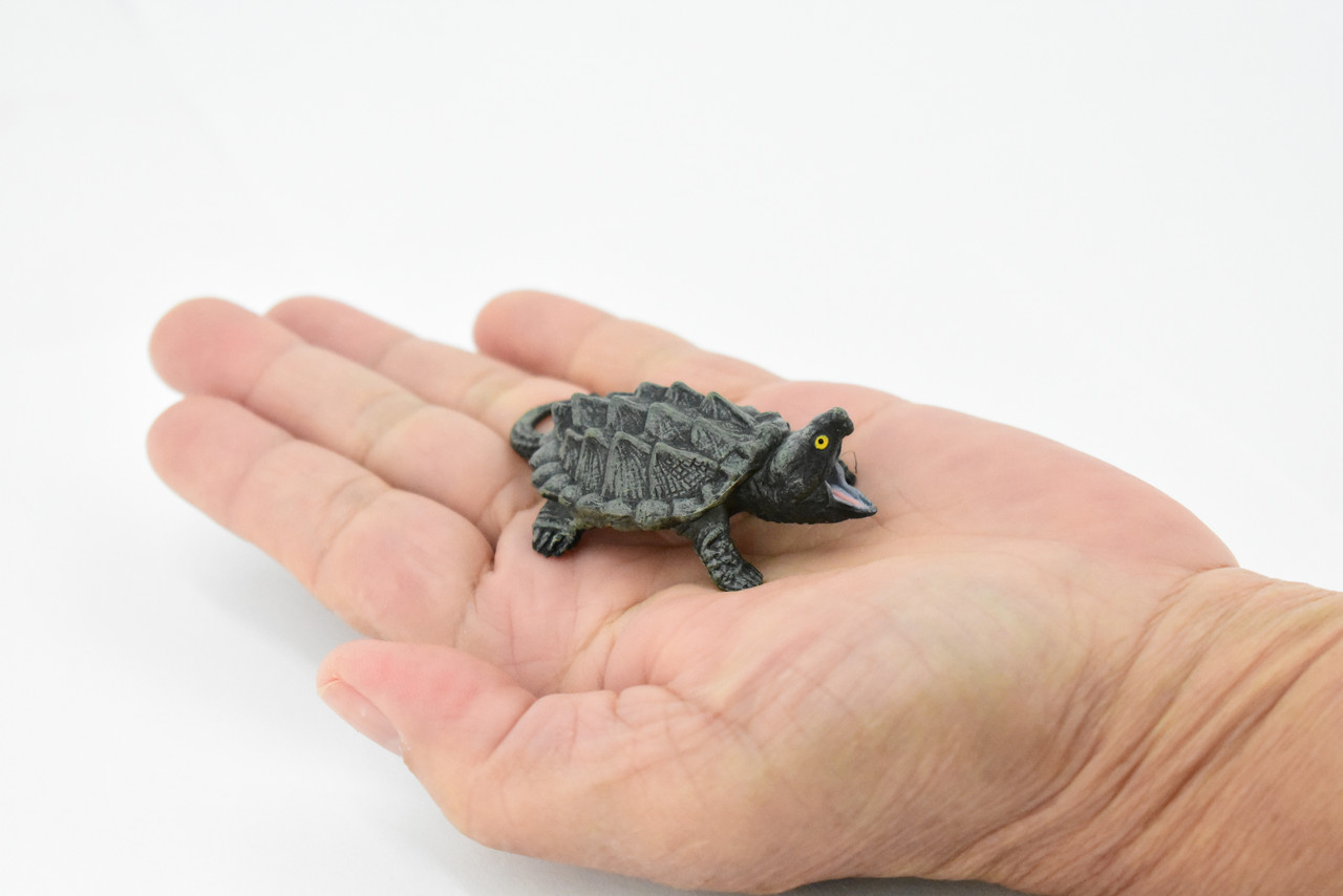 Turtle, Alligator Snapping Turtle, Reptile, Hand Painted, Realistic Toy Figure, Model, Replica, Kids, Educational, Gift,      2 1/2"     CH442 BB109