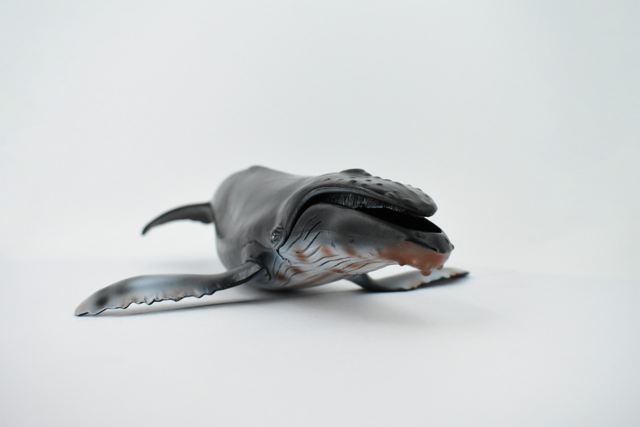 Humpback Whale, Marine Mammal, Hand Painted, Museum Quality, Beautiful Rubber Animal,  Realistic Toy Figure, Model, Educational, Gift,           11"       CH159 BB110 