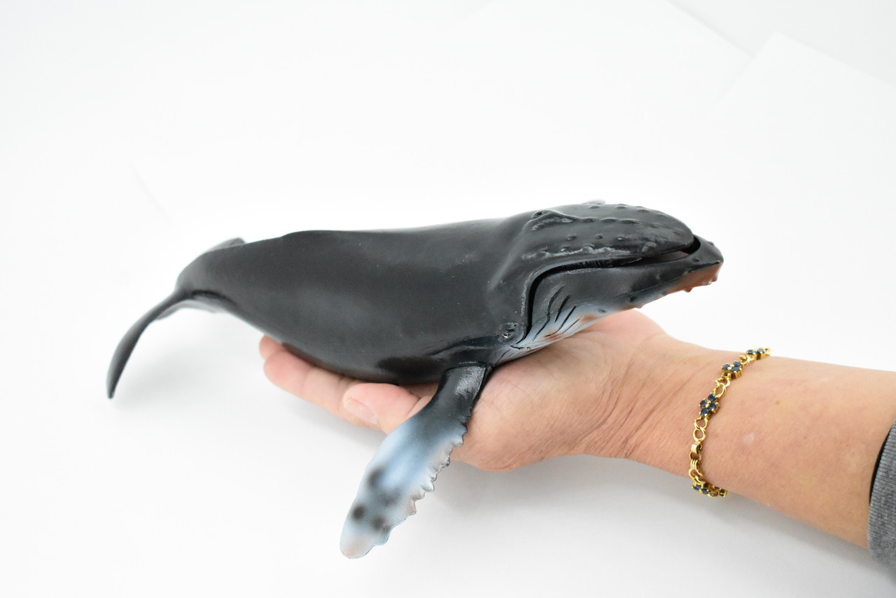 Humpback Whale, Marine Mammal, Hand Painted, Museum Quality, Beautiful Rubber Animal,  Realistic Toy Figure, Model, Educational, Gift,           11"       CH159 BB110 