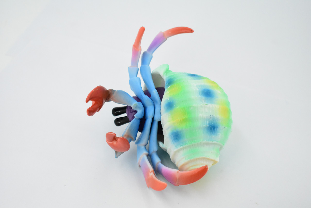 Hermit Crab. Crustaceans, Museum Quality Rubber Figure, Model, Educational, Animal, Hand Painted, Figurines, Gift,           6"             CH160 BB110        