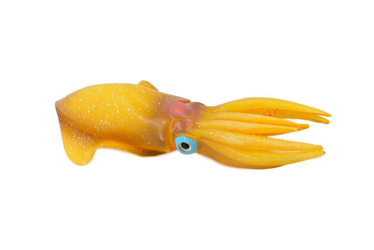 Squid, Caribbean Reef Squid, Museum Quality, Rubber, Hand Painted, Realistic Toy Figure, Model, Replica, Kids, Educational, Gift,         6"        CH162 BB111