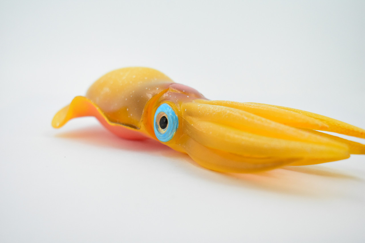 Squid, Caribbean Reef Squid, Museum Quality, Rubber, Hand Painted, Realistic Toy Figure, Model, Replica, Kids, Educational, Gift,         6"        CH162 BB111