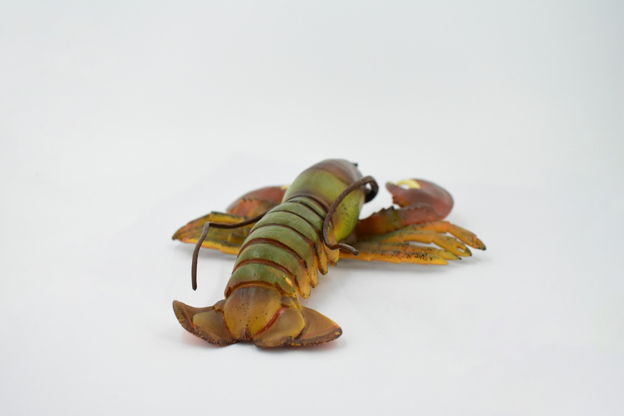 Lobster, Boston, American, Museum Quality, Rubber Crustacean, Hand Painted, Realistic Toy Figure, Model, Replica, Kids, Educational, Gift,       9"       CH163 BB111