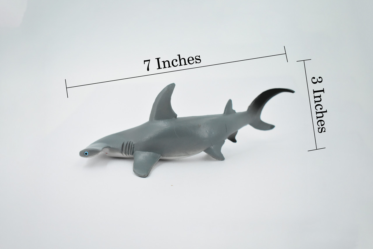 Shark, Hammerhead Shark, Museum Quality, Rubber Fish, Hand Painted, Realistic Toy Figure, Model, Replica, Kids, Educational, Gift,       7"       CH165 BB111