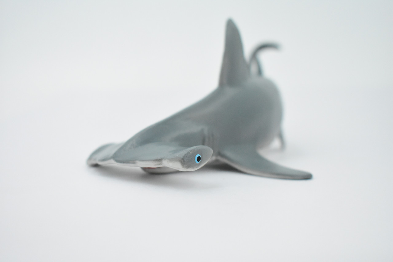 Shark, Hammerhead Shark, Museum Quality, Rubber Fish, Hand Painted, Realistic Toy Figure, Model, Replica, Kids, Educational, Gift,       7"       CH165 BB111