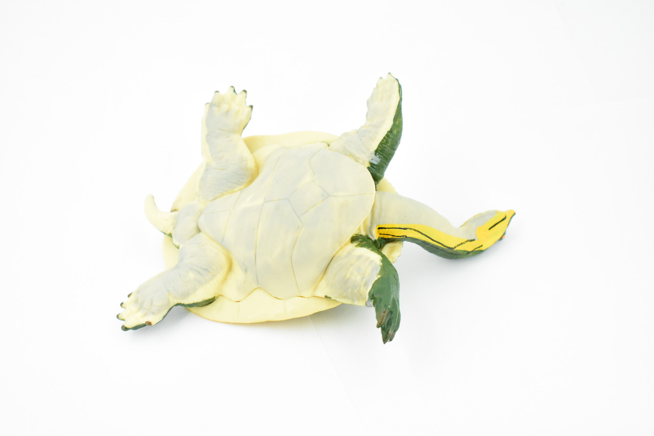 Turtle, Soft Shelled Turtle, Museum Quality, Rubber Reptile, Hand Painted, Realistic Toy Figure, Model, Replica, Kids, Educational, Gift,         7"       CH166 BB112