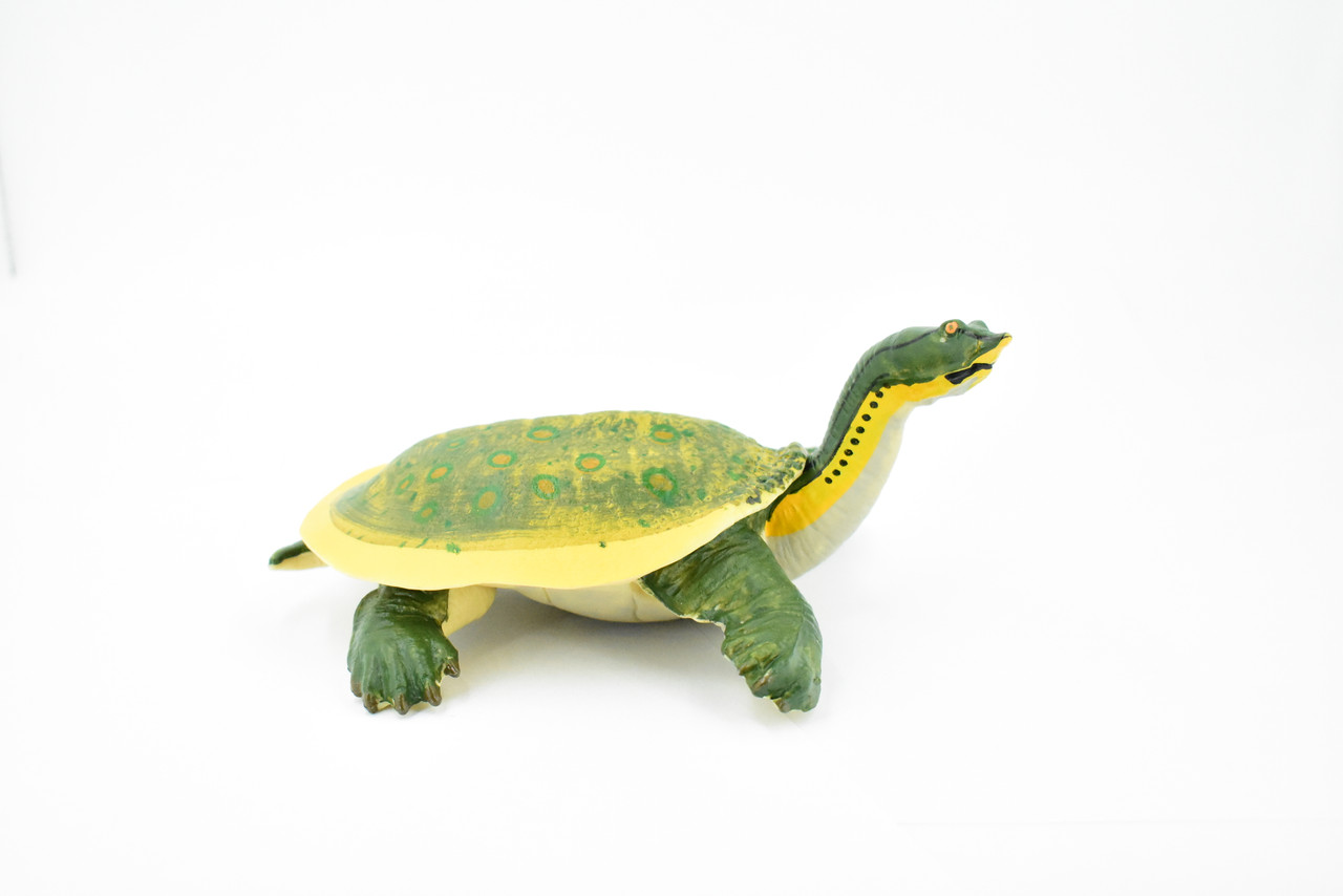 Turtle, Soft Shelled Turtle, Museum Quality, Rubber Reptile, Hand Painted, Realistic Toy Figure, Model, Replica, Kids, Educational, Gift,         7"       CH166 BB112