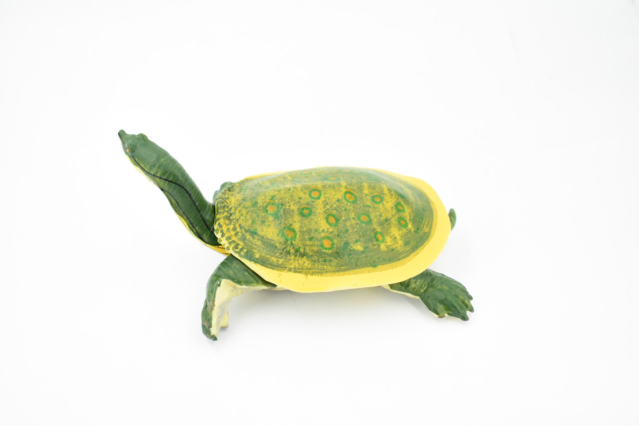 Turtle, Soft Shelled Turtle, Museum Quality, Rubber Reptile, Hand Painted, Realistic Toy Figure, Model, Replica, Kids, Educational, Gift,         7"       CH166 BB112