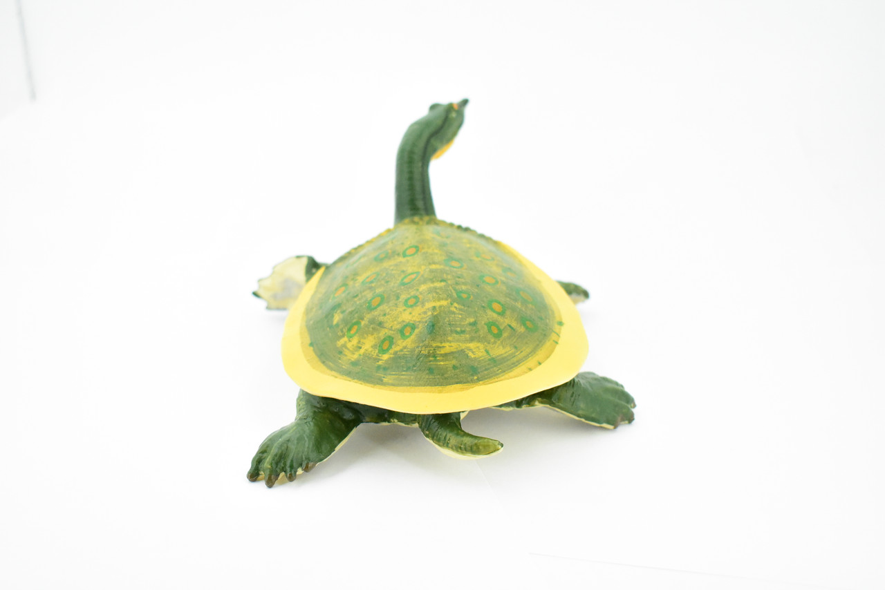 Turtle, Soft Shelled Turtle, Museum Quality, Rubber Reptile, Hand Painted, Realistic Toy Figure, Model, Replica, Kids, Educational, Gift,         7"       CH166 BB112