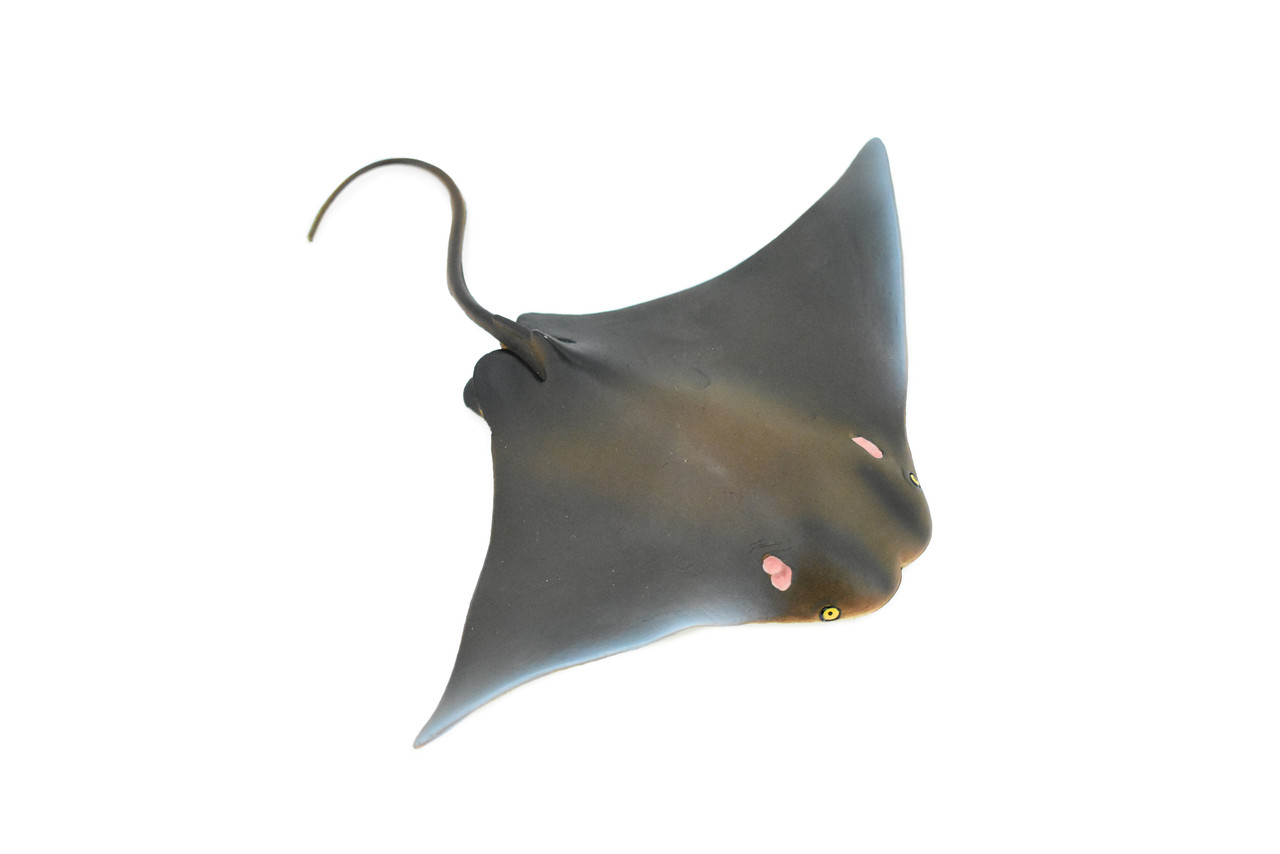 Ray, Cownose Ray, Skate, Museum Quality, Rubber Fish, Realistic Toy Figure, Model, Replica, Kids, Educational, Gift,                   7"       CH167 BB112